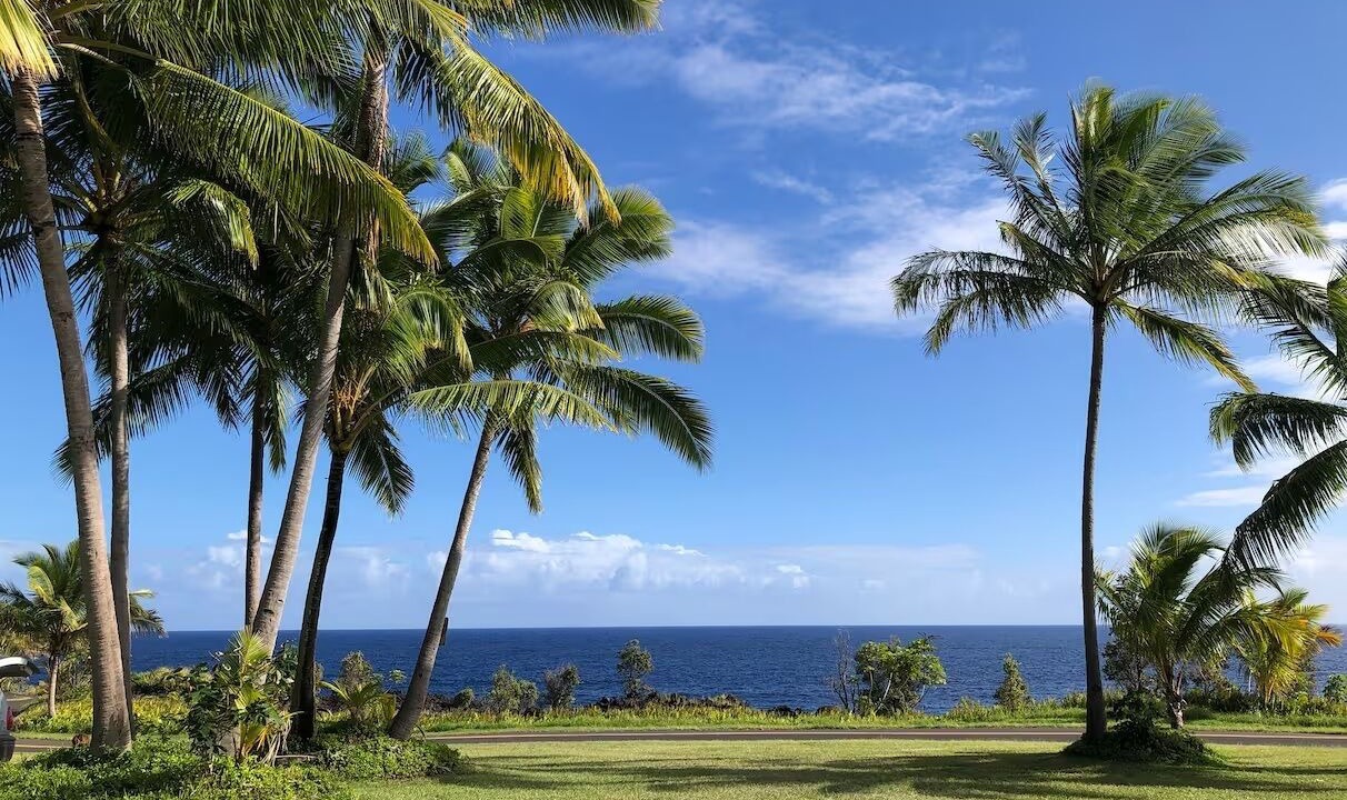 Photo of Others in Puna Palisades