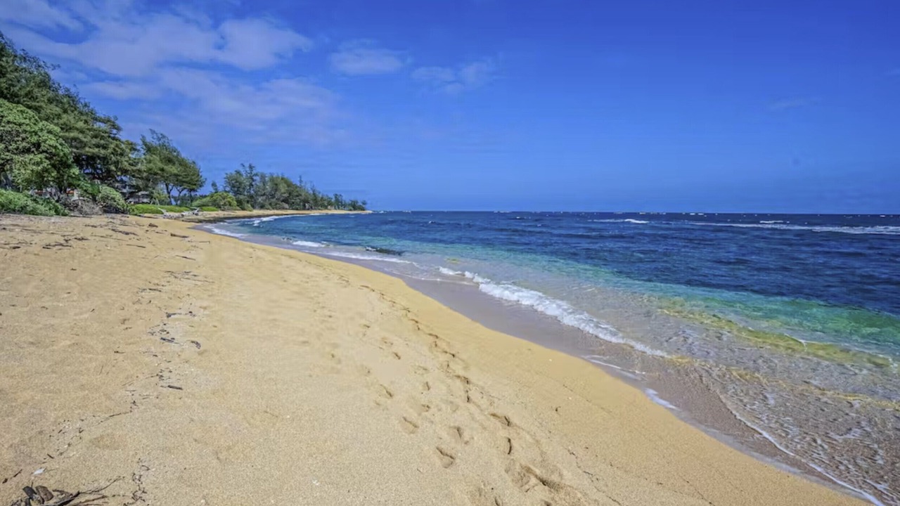 Photo of Others in Wailua