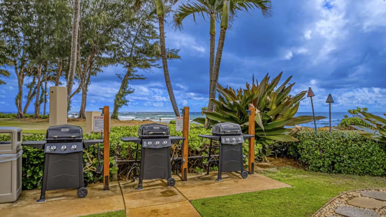 Photo of Outdoor in Wailua