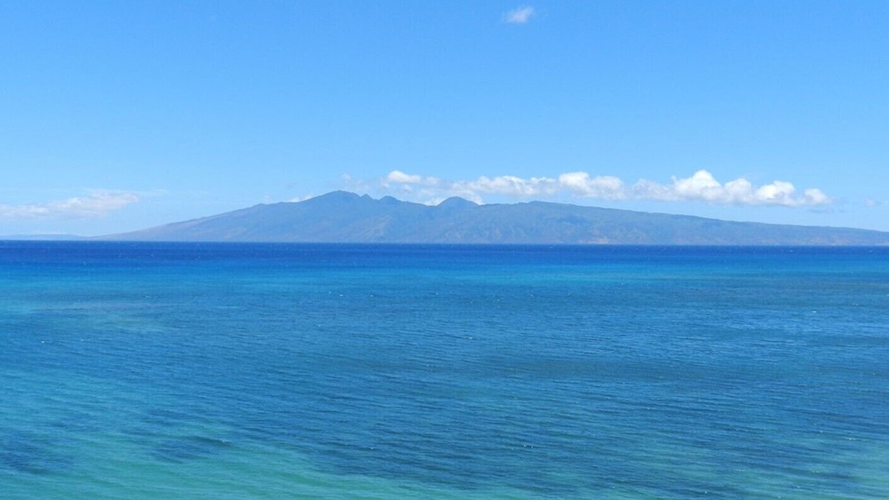 Photo of Others in Kahana
