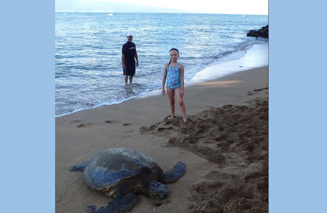 Photo of Others in Kahana