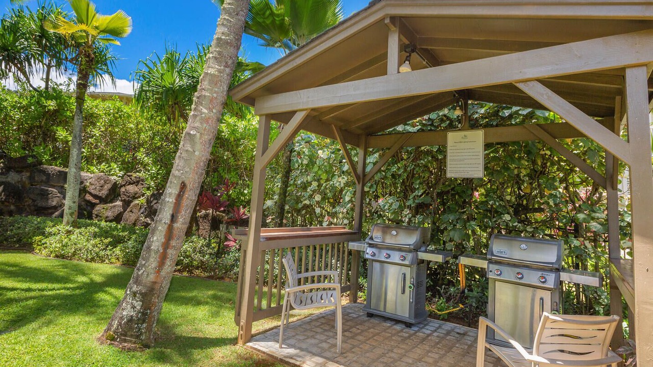 Photo of Outdoor in Princeville