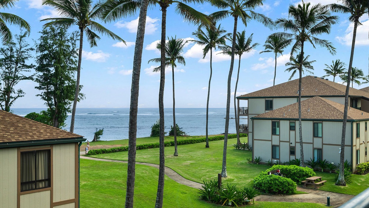 Photo of Others in Kapaa