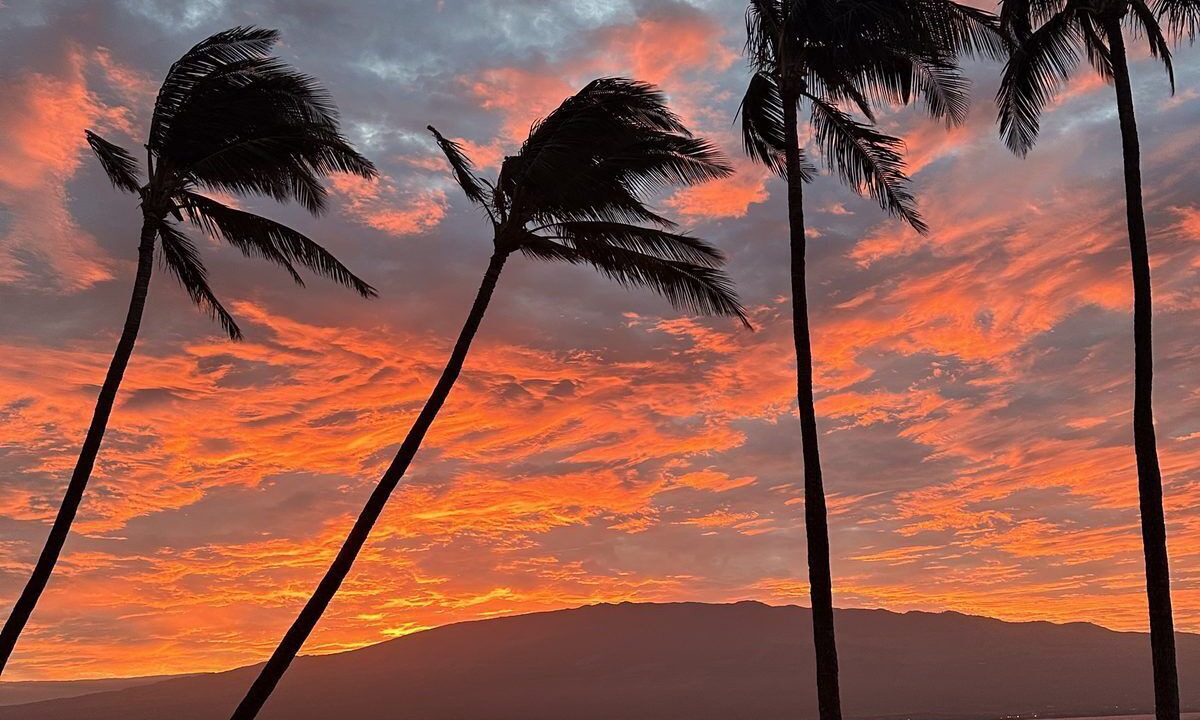 Photo of Others in Maalaea