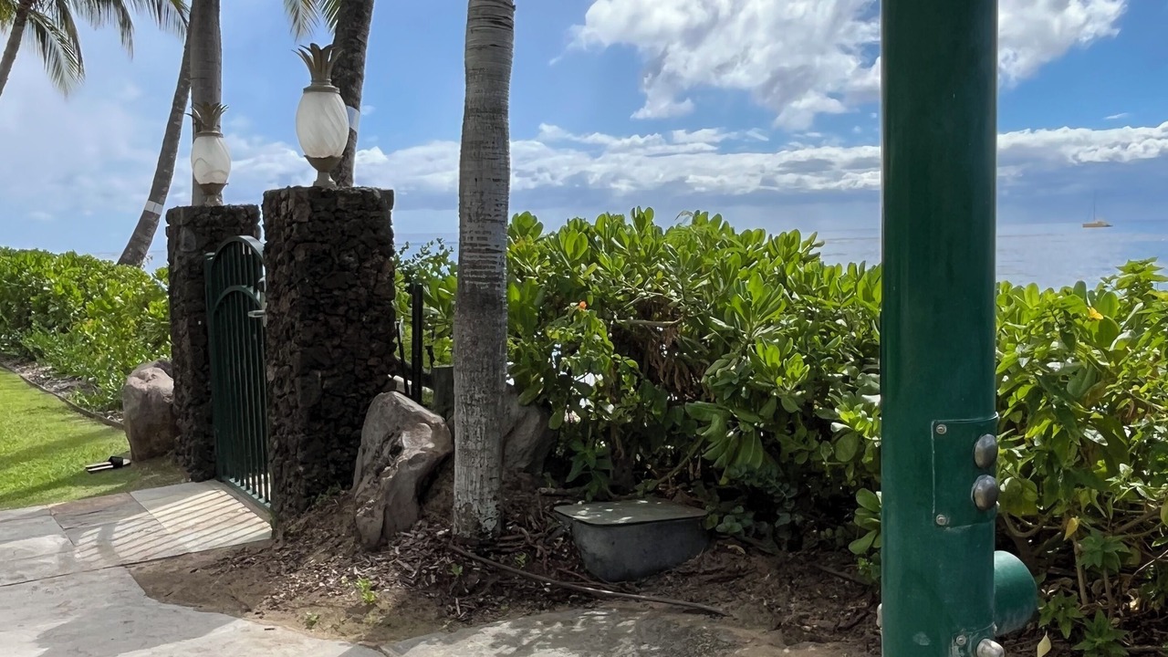 Photo of Others in Historic Lahaina Front Street