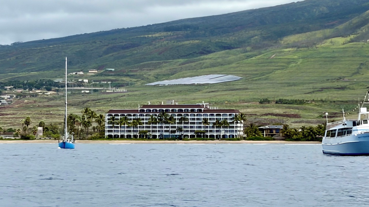 Photo of Others in Historic Lahaina Front Street