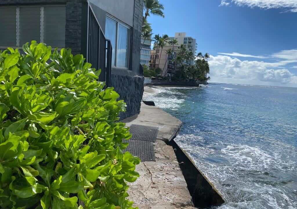 Photo of Outdoor in Diamond Head - Kapahulu - St. Louis