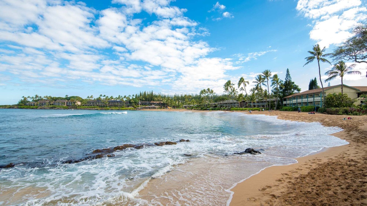 Photo of Others in Napili