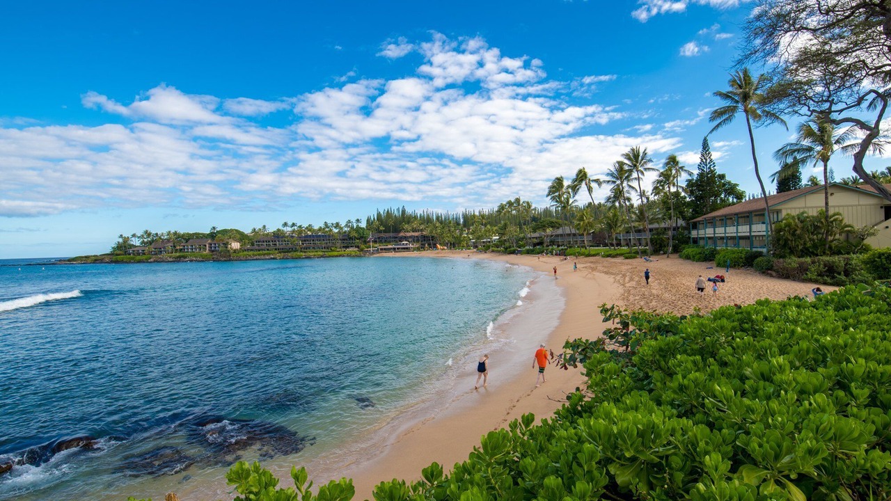 Photo of Others in Napili