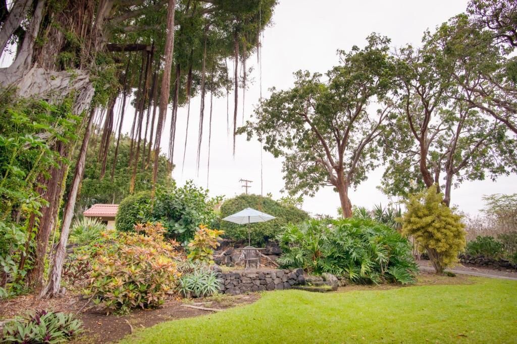 Photo of Outdoor in Historic Kailua Village