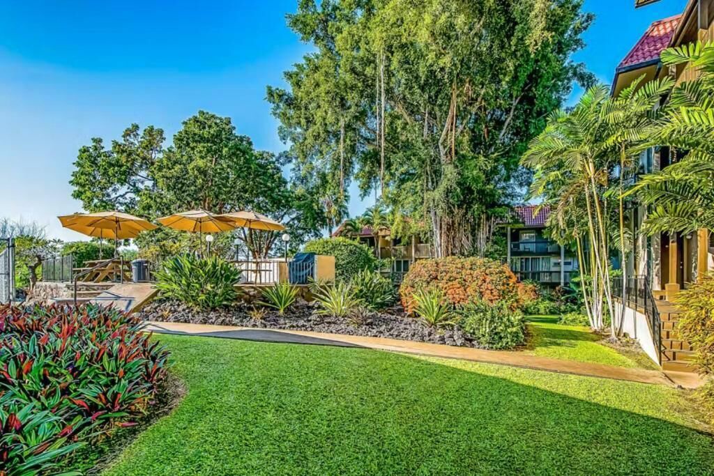 Photo of Outdoor in Historic Kailua Village