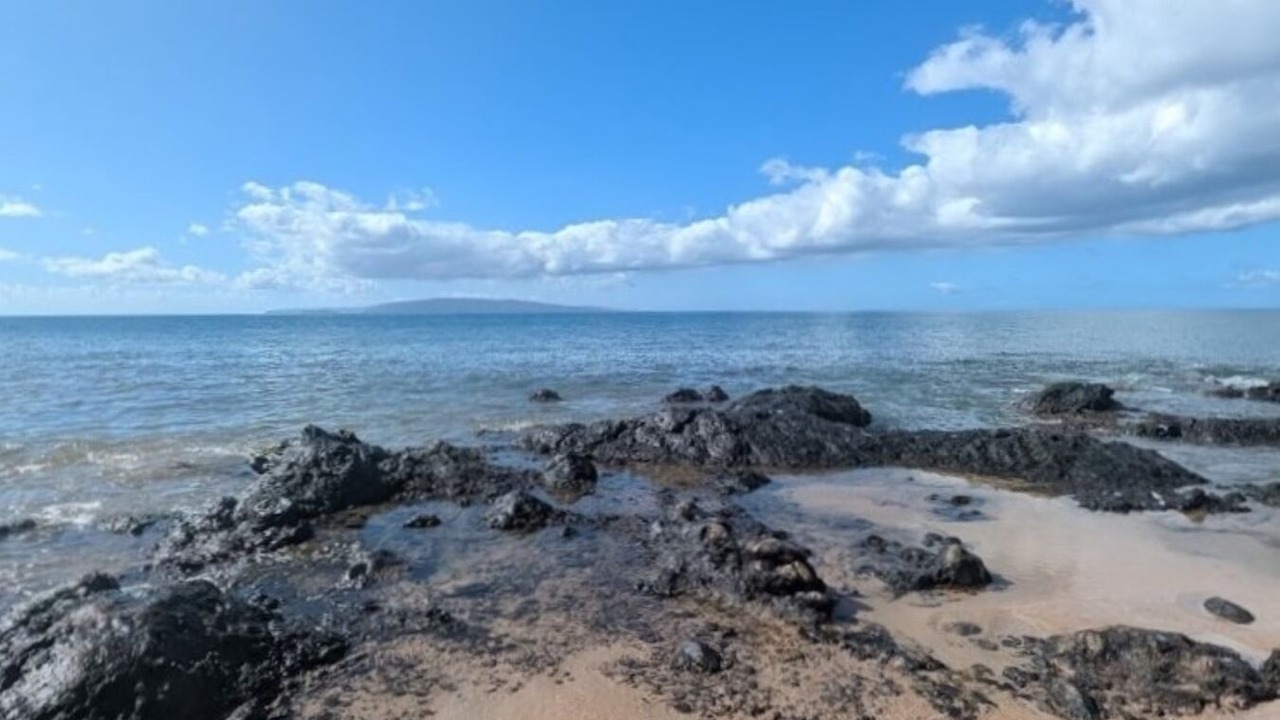 Photo of Others in Kihei