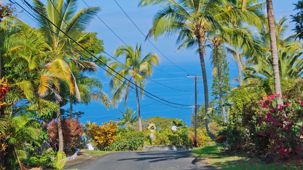 Photo of Others in Opihihale