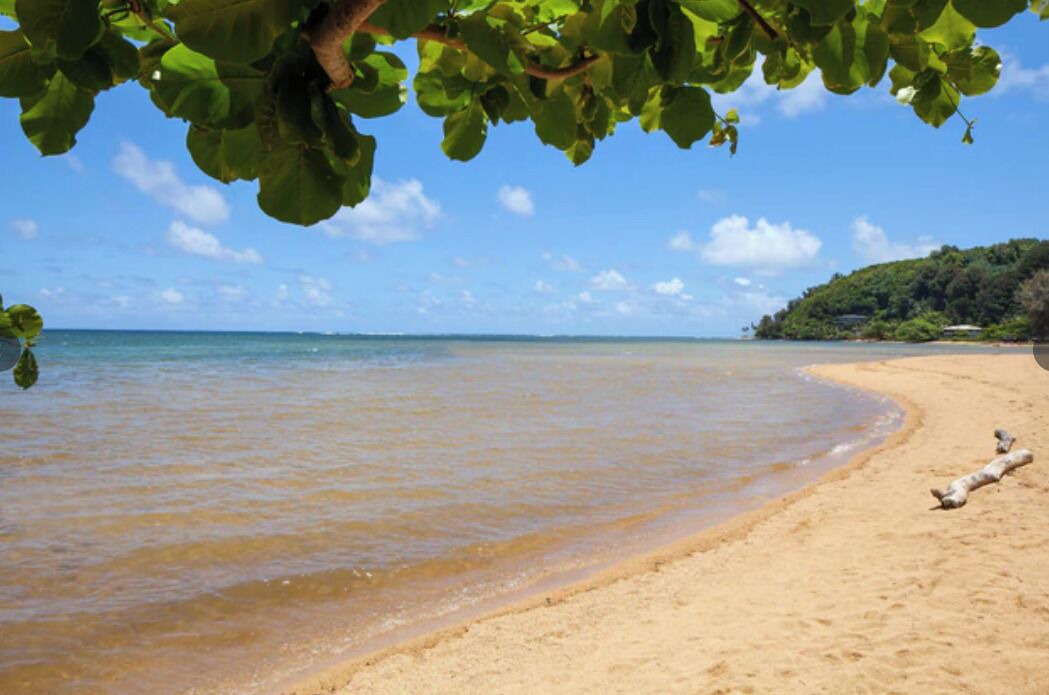 Photo of Others in Princeville