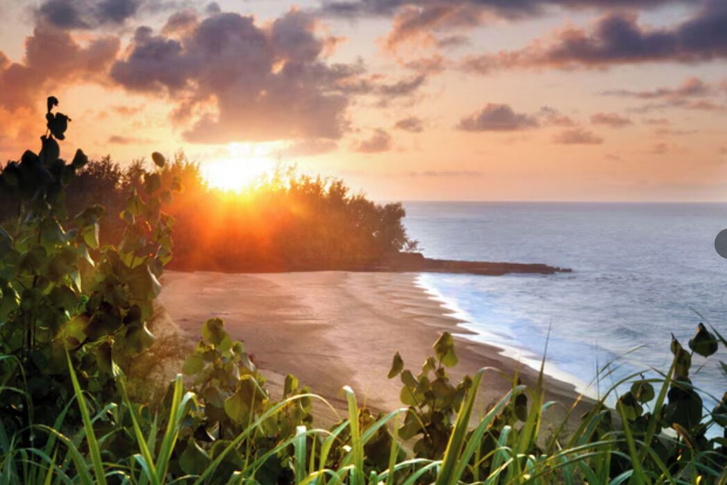 Photo of Others in Princeville