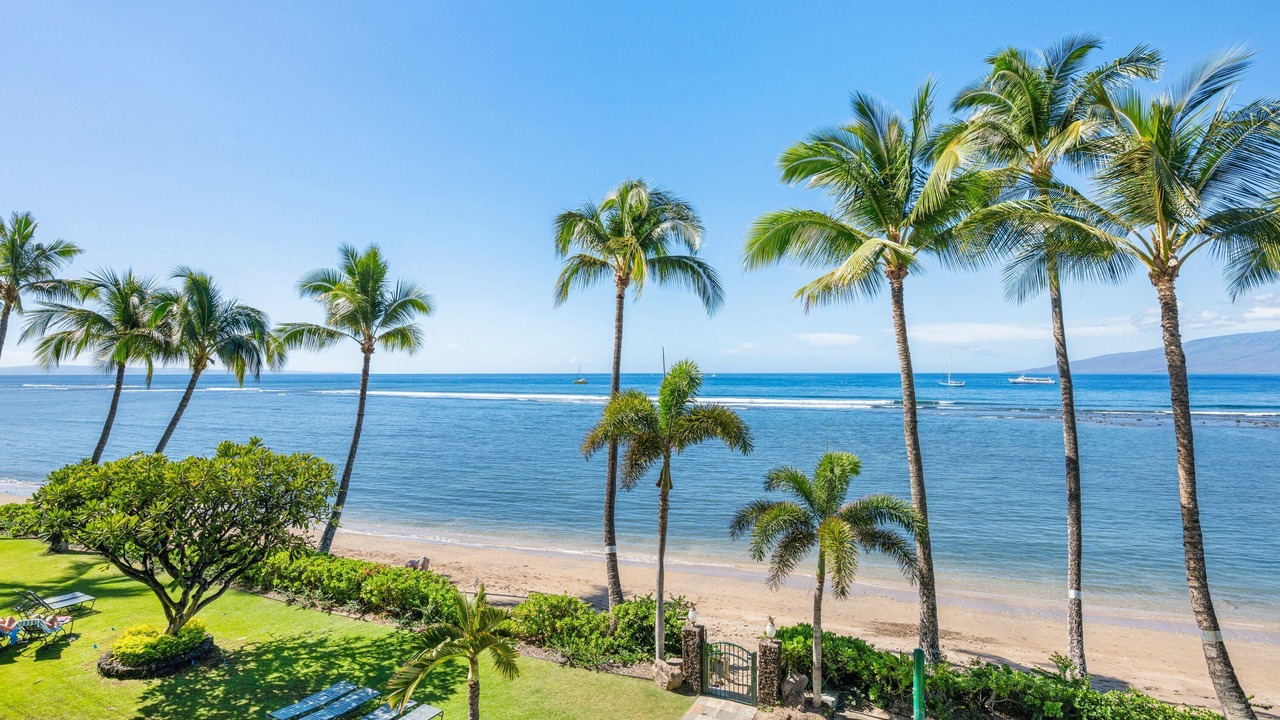 Photo of Others in Historic Lahaina Front Street