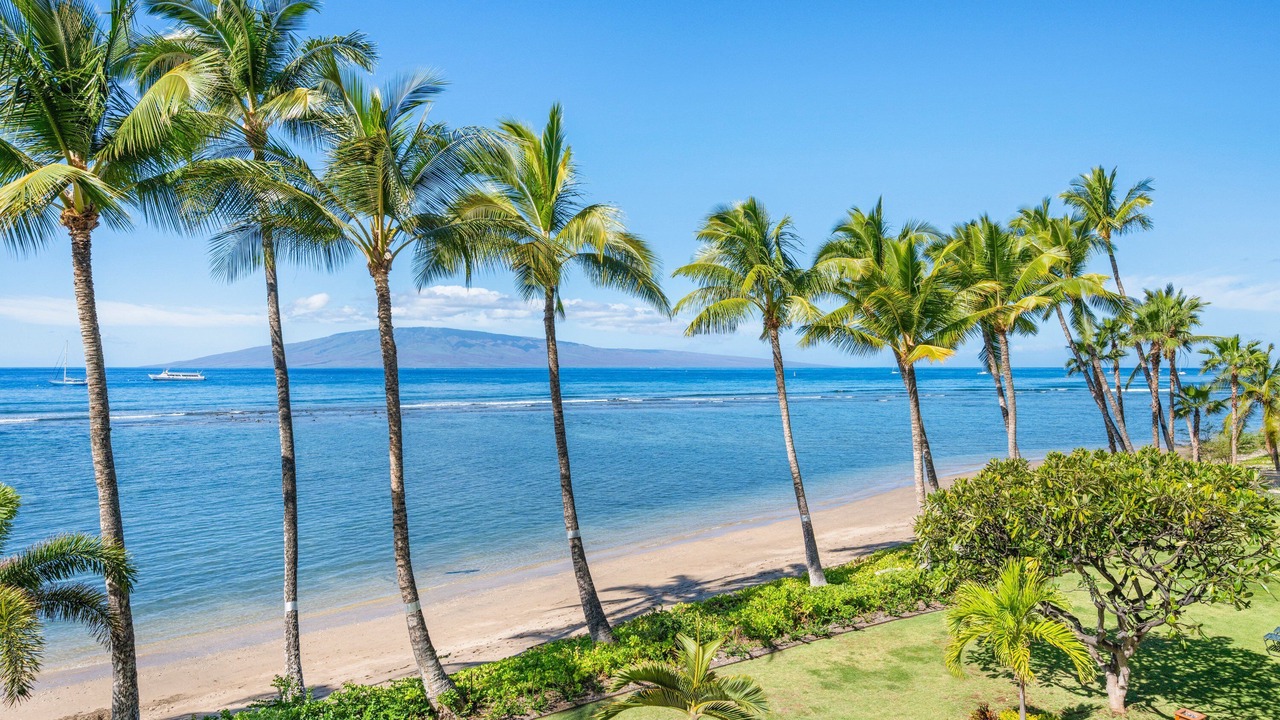 Photo of Others in Historic Lahaina Front Street