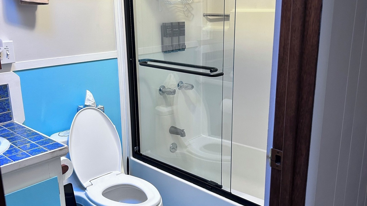 Photo of Bathroom in Volcano