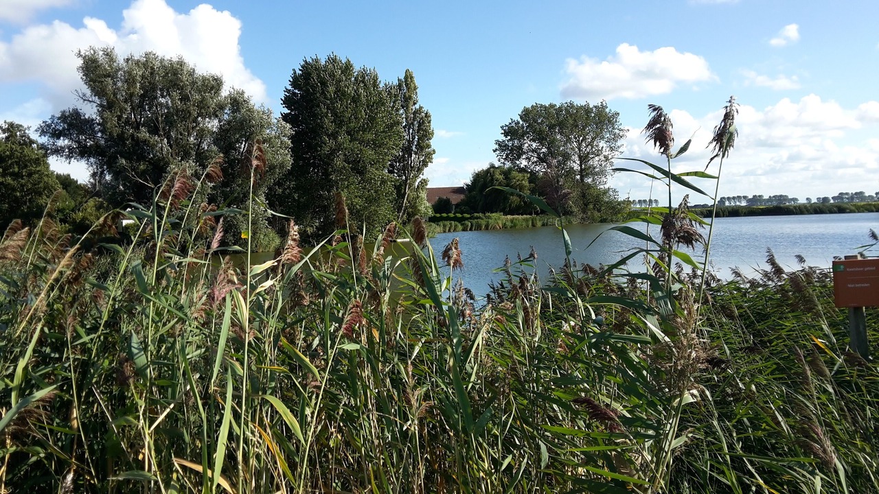 Photo of Others in Ooltgensplaat