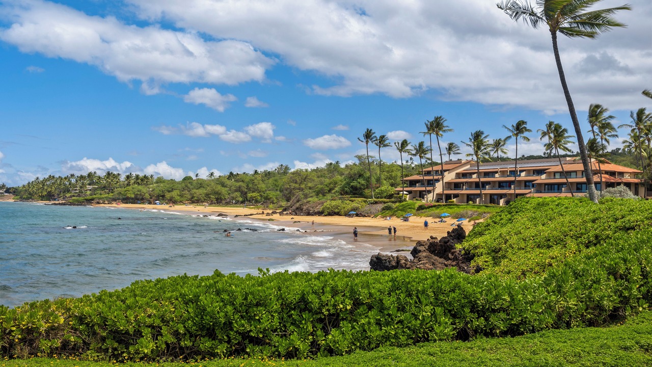 Photo of Others in Wailea