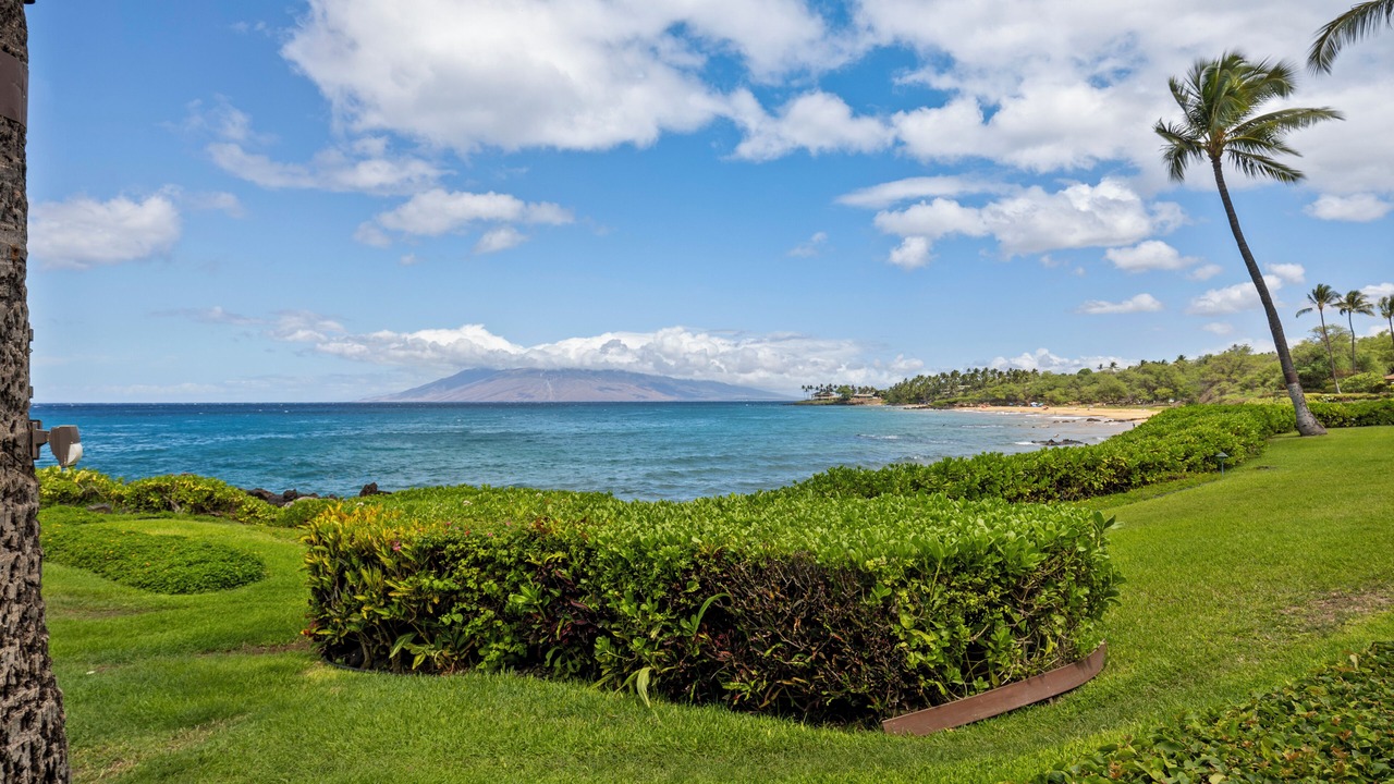 Photo of Outdoor in Wailea