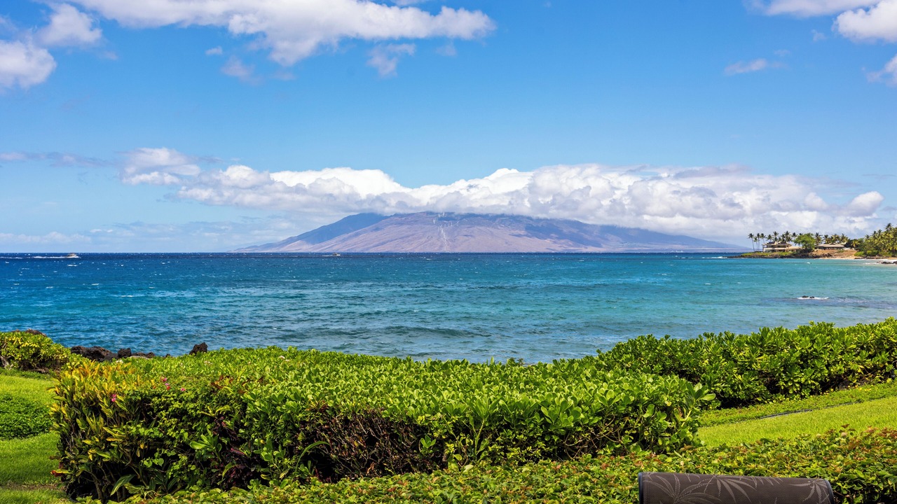 Photo of Others in Wailea
