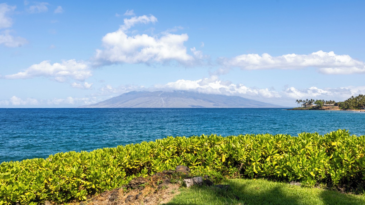 Photo of Others in Wailea