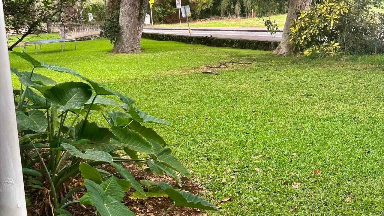 Photo of Others in Naalehu