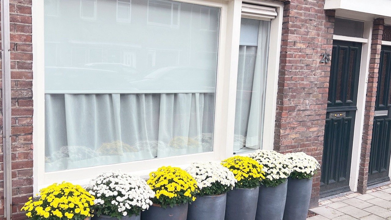 Photo of Outdoor in Binnenstad