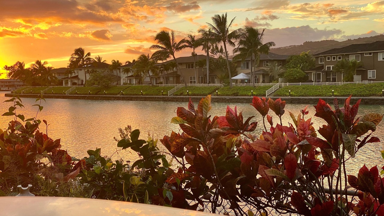 Photo of Outdoor in Hawaii Kai