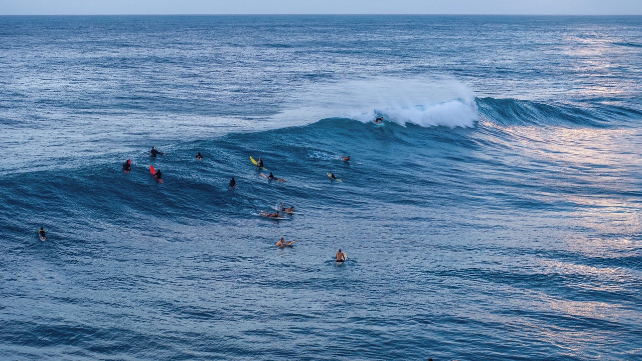 Photo of Others in Pupukea