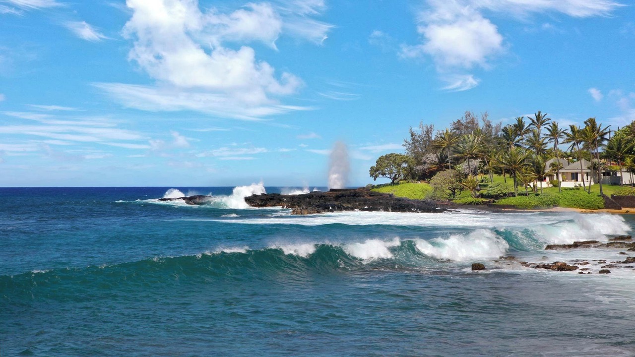 Photo of Others in Poipu