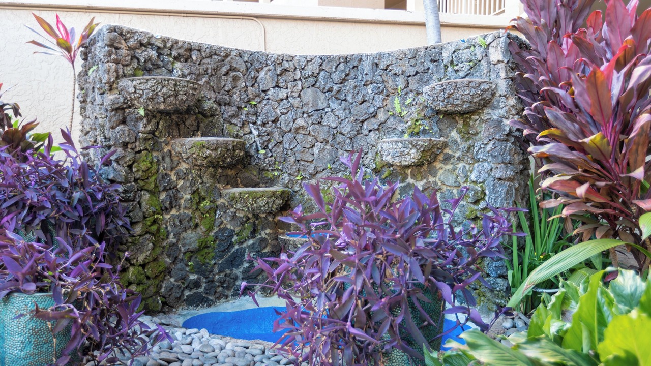 Photo of Outdoor in Kihei