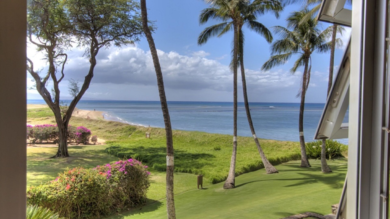 Photo of Others in Kihei