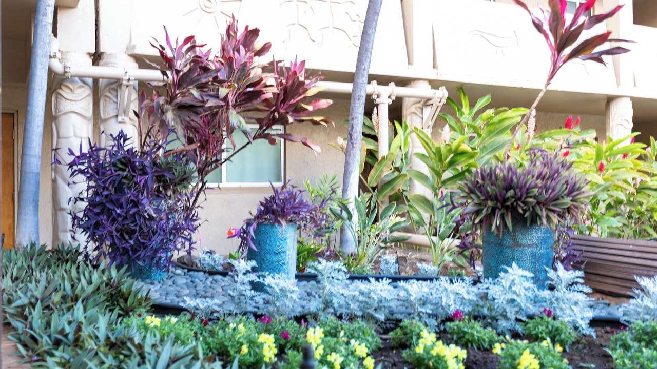 Photo of Outdoor in Kihei