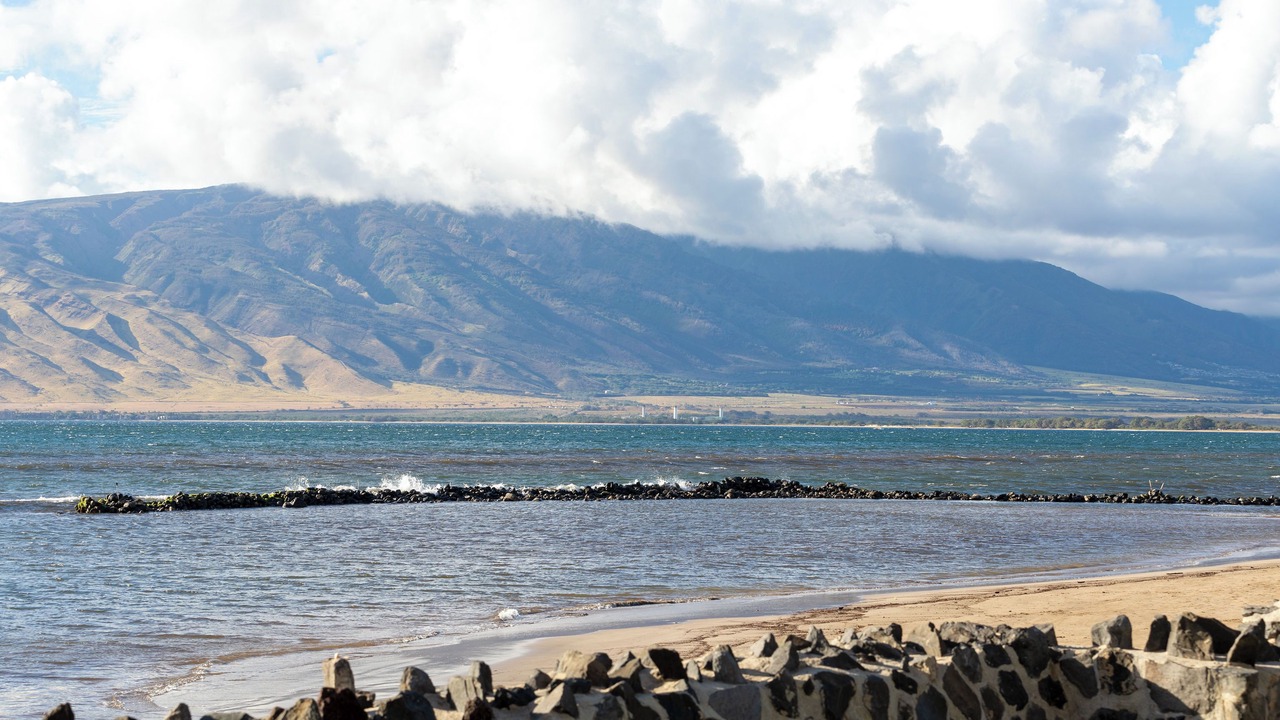 Photo of Others in Kihei