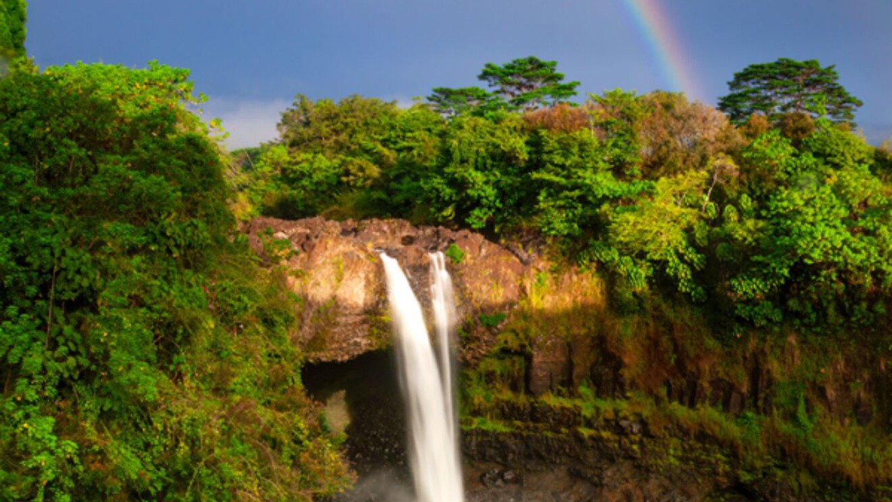 Photo of Others in Hilo