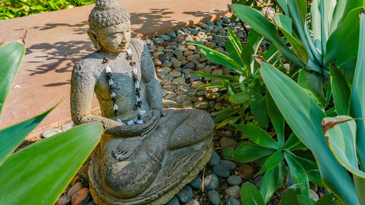 Photo of Outdoor in Lihue