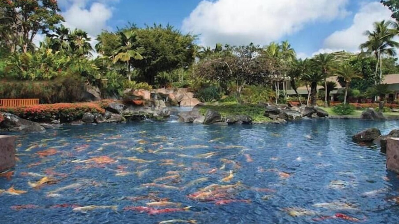 Photo of Others in Lihue