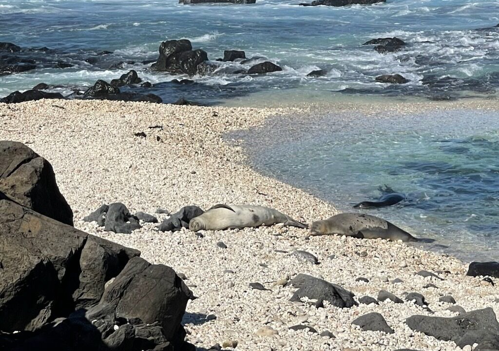 Photo of Others in Makaha Valley
