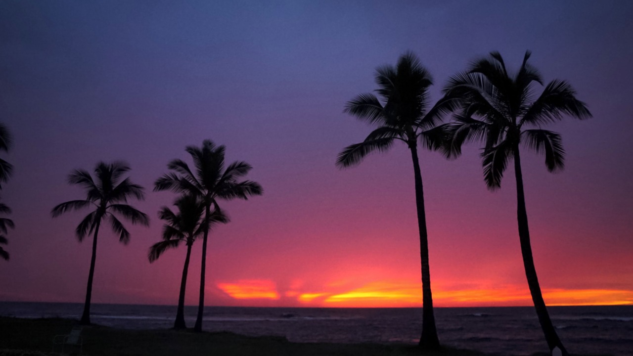 Photo of Others in Makaha Valley