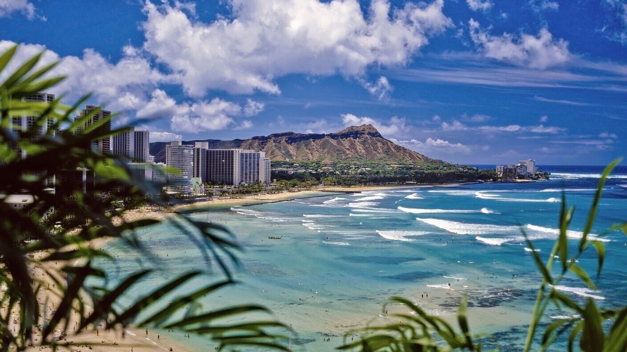Photo of Others in Waikiki