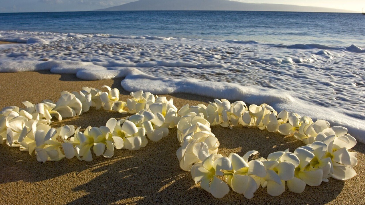 Photo of Others in Waikiki