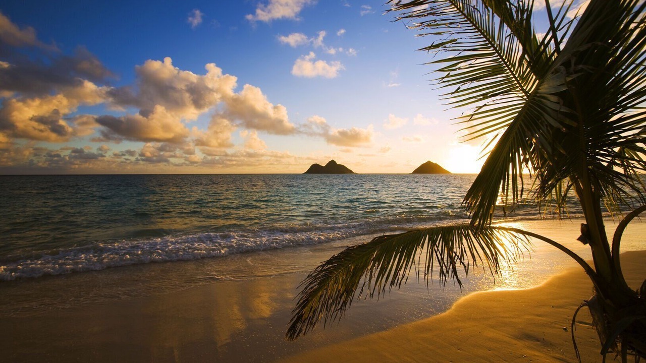 Photo of Others in Waikiki