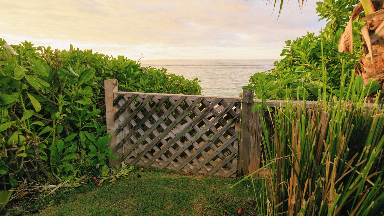 Photo of Outdoor in Mokuleia