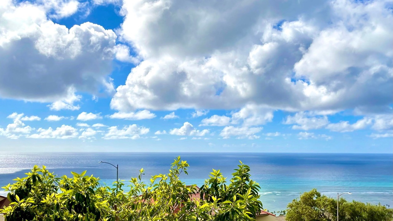 Photo of Others in Waialae Iki Ridge