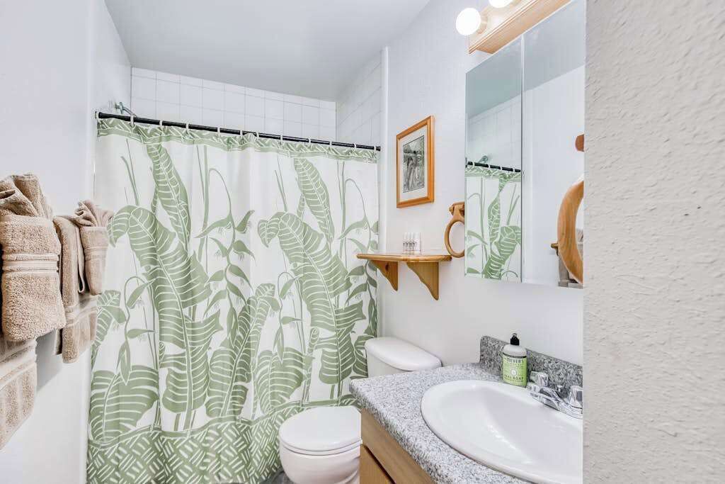 Photo of Bathroom in Volcano