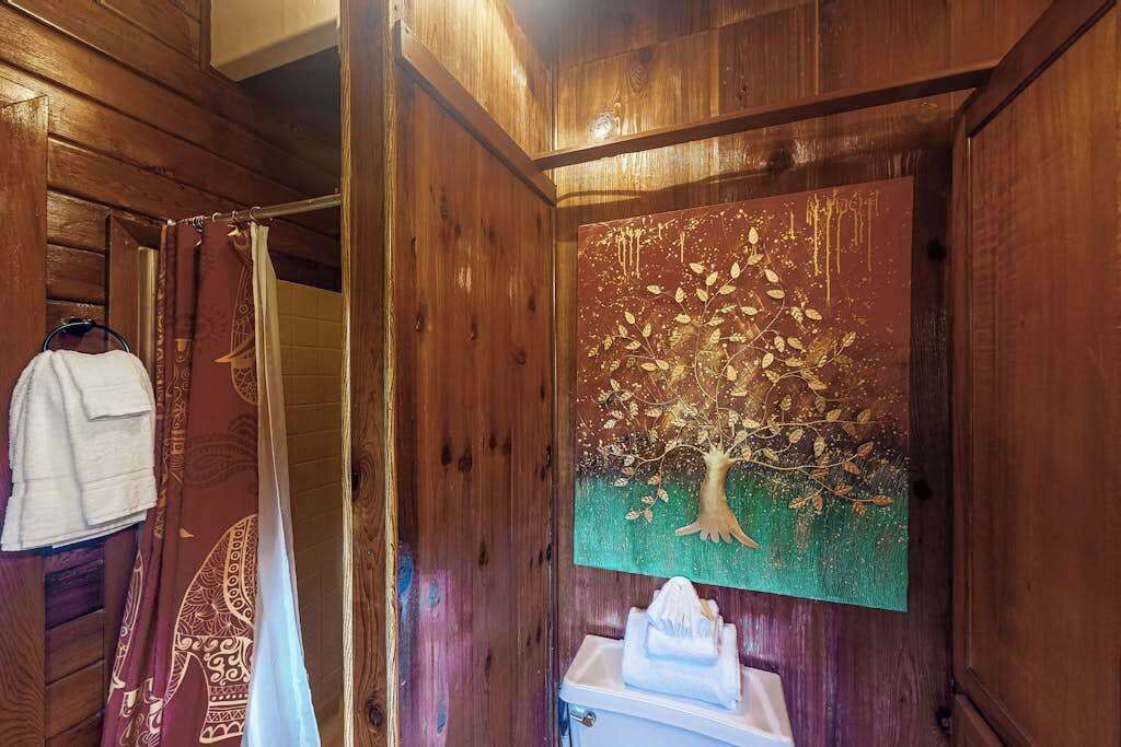 Photo of Bathroom in Volcano