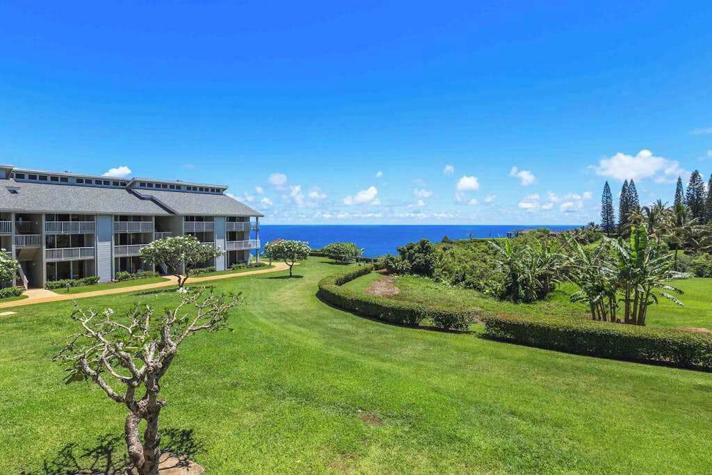 Photo of Outdoor in Princeville