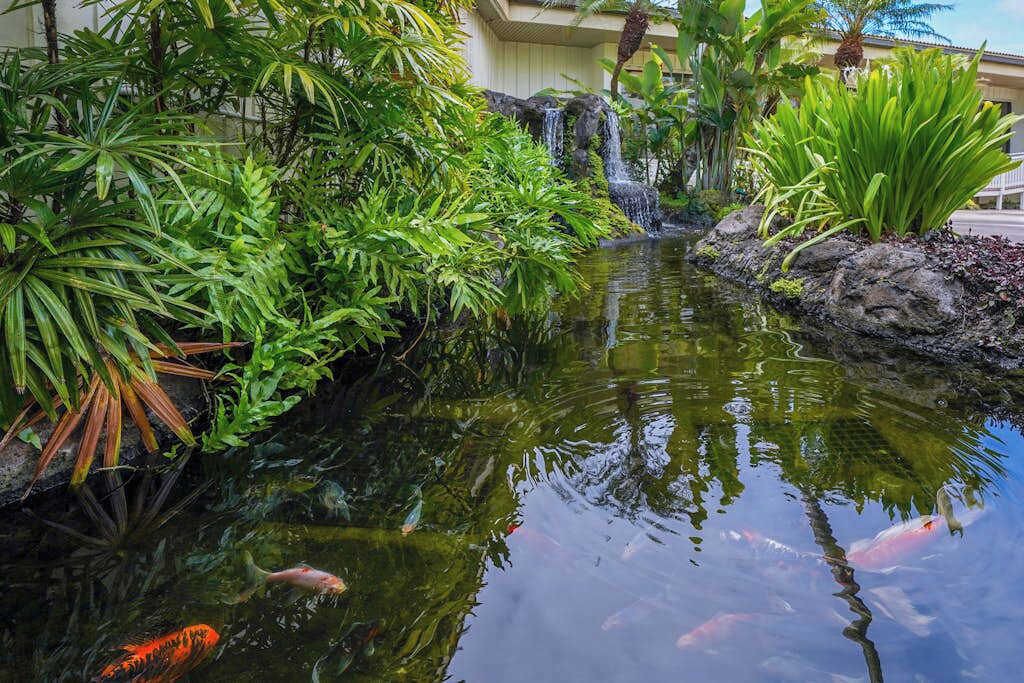 Photo of Outdoor in Hanamaulu
